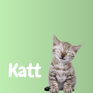 Katt