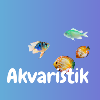 Akvaristik