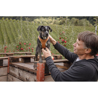 Curli Step-In Hundsele Vegan Äppelläder Brun