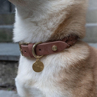 Stockholm Hundhalsband Hazel