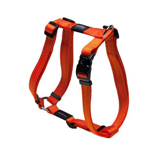 Rogz Utility Sele Orange