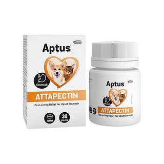 Aptus Attapecitin Tabletter 30st