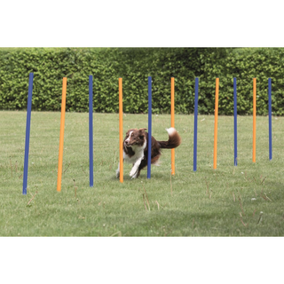 Agility 12 st Slalompinnar Plast 115 cm