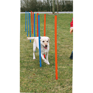 Agility 12 st Slalompinnar Plast 115 cm