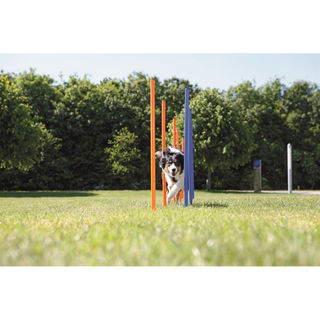 Agility 12 st Slalompinnar Plast 115 cm