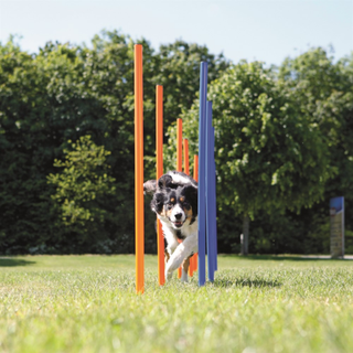 Agility 12 st Slalompinnar Plast 115 cm