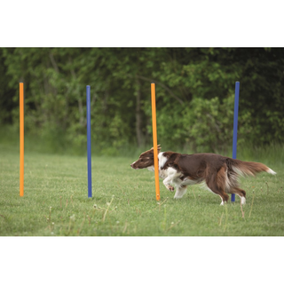 Agility 12 st Slalompinnar Plast 115 cm