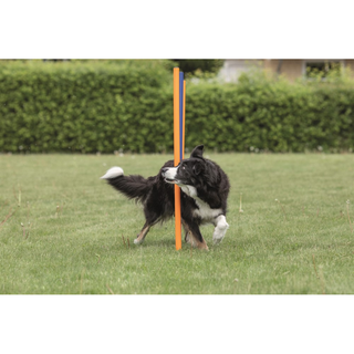 Agility 12 st Slalompinnar Plast 115 cm