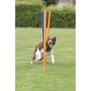 Agility 12 st Slalompinnar Plast 115 cm