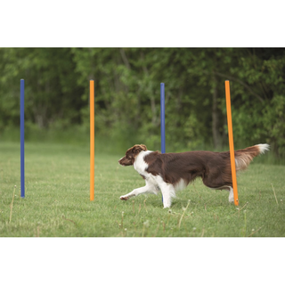 Agility 12 st Slalompinnar Plast 115 cm