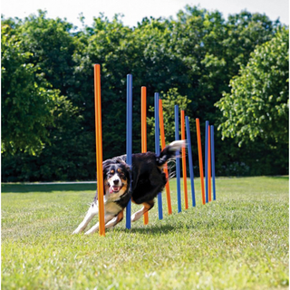 Agility 12 st Slalompinnar Plast 115 cm