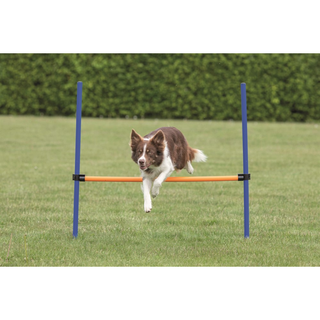 Agility Hopphinder Plast 123 x 115 cm