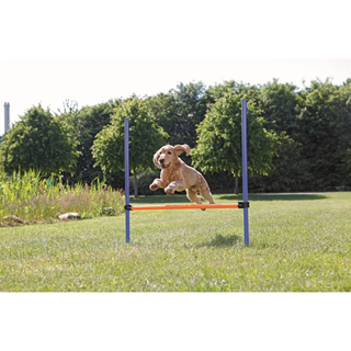 Agility Hopphinder Plast 123 x 115 cm