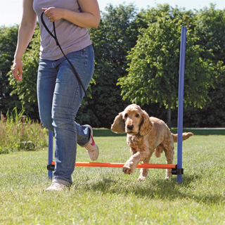 Agility Hopphinder Plast 123 x 115 cm