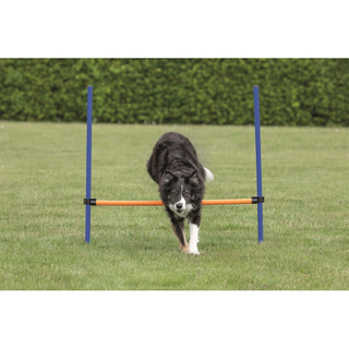 Agility Hopphinder Plast 123 x 115 cm