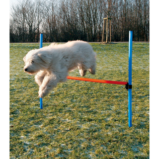 Agility Hopphinder Plast 123 x 115 cm