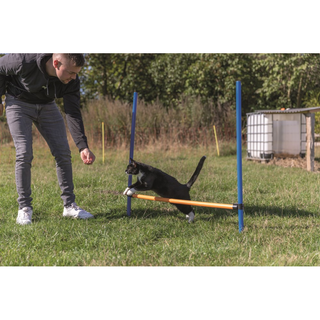 Agility Hopphinder Plast 123 x 115 cm