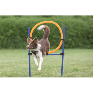 Agility Hoppring Plast 78 x 65 x 115 cm