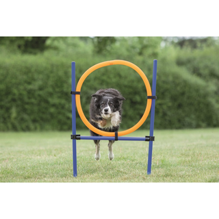 Agility Hoppring Plast 78 x 65 x 115 cm