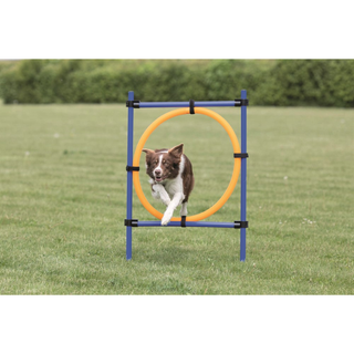 Agility Hoppring Plast 78 x 65 x 115 cm