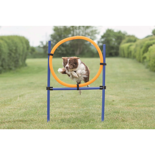 Agility Hoppring Plast 78 x 65 x 115 cm