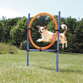 Agility Hoppring Plast 78 x 65 x 115 cm