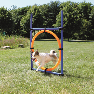 Agility Hoppring Plast 78 x 65 x 115 cm