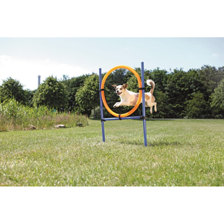 Agility Hoppring Plast 78 x 65 x 115 cm