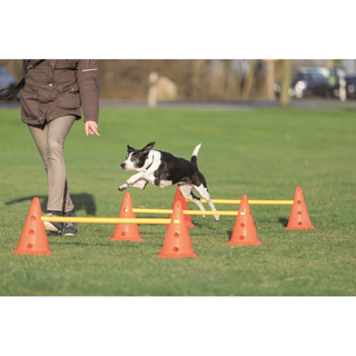 Dog Activity Hinderset 3 hinder, ø23×30cm, 78cm, orange & gul