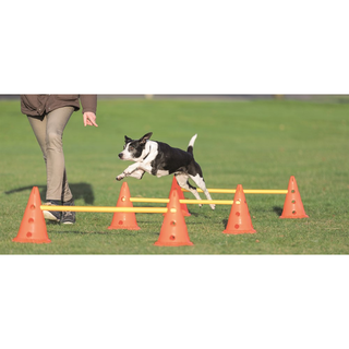 Dog Activity Hinderset 3 hinder, ø23×30cm, 78cm, orange & gul