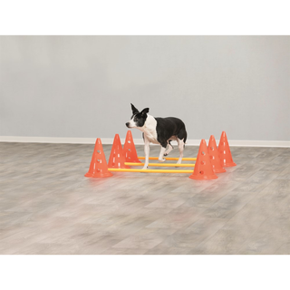 Dog Activity Hinderset 3 hinder, ø23×30cm, 78cm, orange & gul