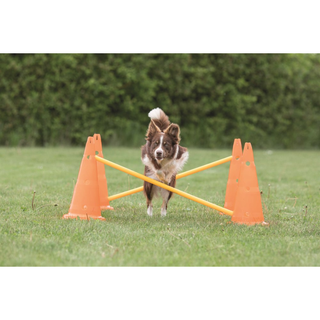 Dog Activity Hinderset 2 hinder, ø30×50cm, 100cm, orange & gul