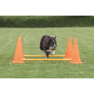 Dog Activity Hinderset 2 hinder, ø30×50cm, 100cm, orange & gul