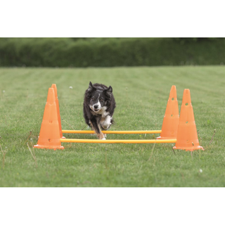 Dog Activity Hinderset 2 hinder, ø30×50cm, 100cm, orange & gul