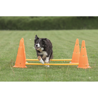 Dog Activity Hinderset 2 hinder, ø30×50cm, 100cm, orange & gul