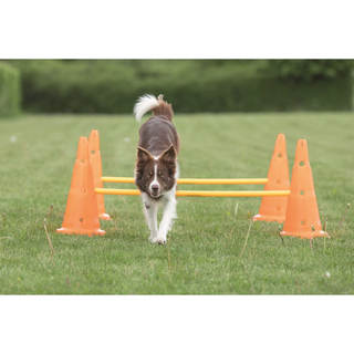 Dog Activity Hinderset 2 hinder, ø30×50cm, 100cm, orange & gul