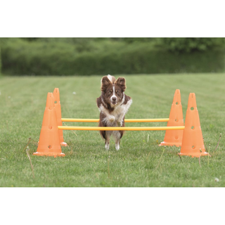 Dog Activity Hinderset 2 hinder, ø30×50cm, 100cm, orange & gul