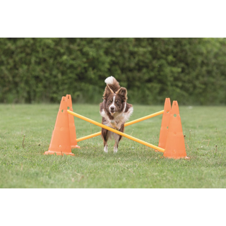 Dog Activity Hinderset 2 hinder, ø30×50cm, 100cm, orange & gul