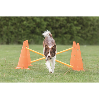 Dog Activity Hinderset 2 hinder, ø30×50cm, 100cm, orange & gul