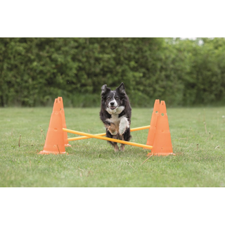 Dog Activity Hinderset 2 hinder, ø30×50cm, 100cm, orange & gul