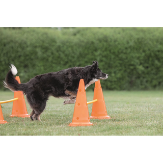 Dog Activity Hinderset 2 hinder, ø30×50cm, 100cm, orange & gul