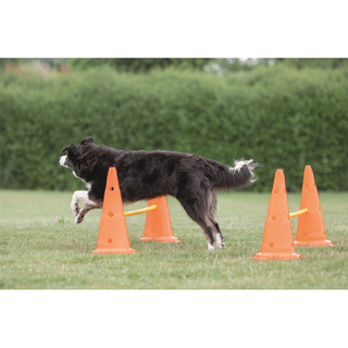 Dog Activity Hinderset 2 hinder, ø30×50cm, 100cm, orange & gul