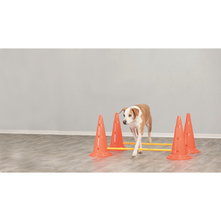 Dog Activity Hinderset 2 hinder, ø30×50cm, 100cm, orange & gul