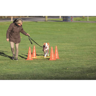 Dog Activity Hinderset 2 hinder, ø30×50cm, 100cm, orange & gul