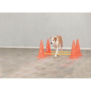 Dog Activity Hinderset 2 hinder, ø30×50cm, 100cm, orange & gul