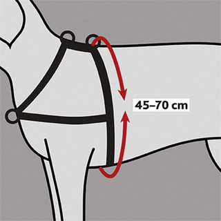 Lead'n'Walk Soft träningssele, S-M: 45-70 cm/25 mm, svart