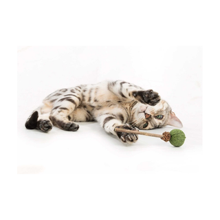 Matatabi LollyPop med catnip, 11 cm