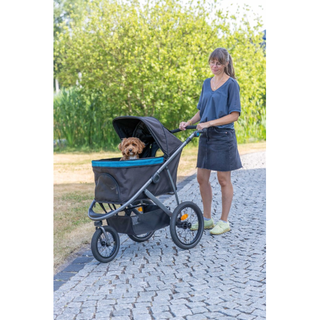 Djurvagn Buggy, hopfällbar, 60×h112×120 cm, upp t. 20 kg, svart/petrolEj