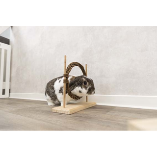 Agility set med hinder och ring, 28 × 26 × 12 cm