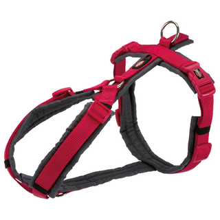 Premium spårsele, S-M: 44-53 cm/20 mm, fuchsia/grafitEj